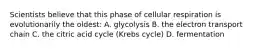 Scientists believe that this phase of cellular respiration is evolutionarily the oldest: A. glycolysis B. the electron transport chain C. the citric acid cycle (Krebs cycle) D. fermentation