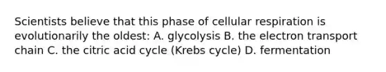 Scientists believe that this phase of cellular respiration is evolutionarily the oldest: A. glycolysis B. the electron transport chain C. the citric acid cycle (Krebs cycle) D. fermentation