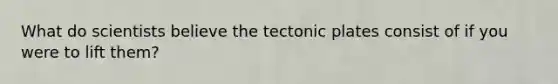 What do scientists believe the tectonic plates consist of if you were to lift them?