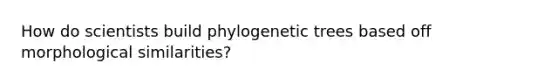 How do scientists build phylogenetic trees based off morphological similarities?