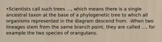 •Scientists call such trees ..., which means there is a single ancestral taxon at the base of a phylogenetic tree to which all organisms represented in the diagram descend from. -When two lineages stem from the same branch point, they are called ..., for example the two species of orangutans.