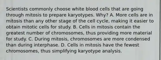 Scientists commonly choose white blood cells that are going through mitosis to prepare karyotypes. Why? A. More cells are in mitosis than any other stage of the cell cycle, making it easier to obtain mitotic cells for study. B. Cells in mitosis contain the greatest number of chromosomes, thus providing more material for study. C. During mitosis, chromosomes are more condensed than during interphase. D. Cells in mitosis have the fewest chromosomes, thus simplifying karyotype analysis.