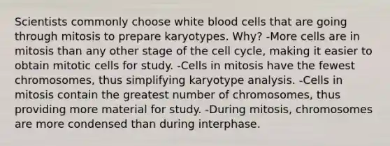 Scientists commonly choose white blood cells that are going through mitosis to prepare karyotypes. Why? -More cells are in mitosis than any other stage of the <a href='https://www.questionai.com/knowledge/keQNMM7c75-cell-cycle' class='anchor-knowledge'>cell cycle</a>, making it easier to obtain mitotic cells for study. -Cells in mitosis have the fewest chromosomes, thus simplifying karyotype analysis. -Cells in mitosis contain the greatest number of chromosomes, thus providing more material for study. -During mitosis, chromosomes are more condensed than during interphase.