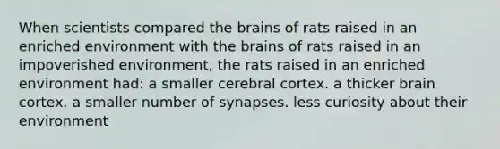 When scientists compared the brains of rats raised in an enriched environment with the brains of rats raised in an impoverished environment, the rats raised in an enriched environment had: a smaller cerebral cortex. a thicker brain cortex. a smaller number of synapses. less curiosity about their environment