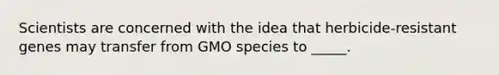 Scientists are concerned with the idea that herbicide-resistant genes may transfer from GMO species to _____.