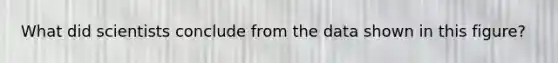What did scientists conclude from the data shown in this figure?