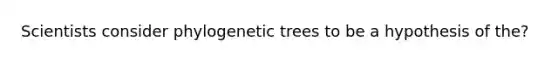 Scientists consider phylogenetic trees to be a hypothesis of the?