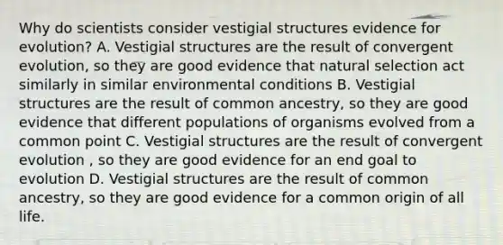 Why do scientists consider vestigial structures evidence for evolution? A. Vestigial structures are the result of convergent evolution, so they are good evidence that natural selection act similarly in similar environmental conditions B. Vestigial structures are the result of common ancestry, so they are good evidence that different populations of organisms evolved from a common point C. Vestigial structures are the result of convergent evolution , so they are good evidence for an end goal to evolution D. Vestigial structures are the result of common ancestry, so they are good evidence for a common origin of all life.