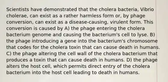 Scientists have demonstrated that the cholera bacteria, Vibrio cholerae, can exist as a rather harmless form or, by phage conversion, can exist as a disease-causing, virulent form. This conversion is caused by A) the phage entering the cholera bacterium genome and causing the bacterium's cell to lyse. B) the phage introducing a gene into the bacterium's chromosome that codes for the cholera toxin that can cause death in humans. C) the phage altering the cell wall of the cholera bacterium that produces a toxin that can cause death in humans. D) the phage alters the host cell, which permits direct entry of the cholera bacterium into the host cell leading to death in humans.