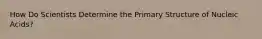 How Do Scientists Determine the Primary Structure of Nucleic Acids?