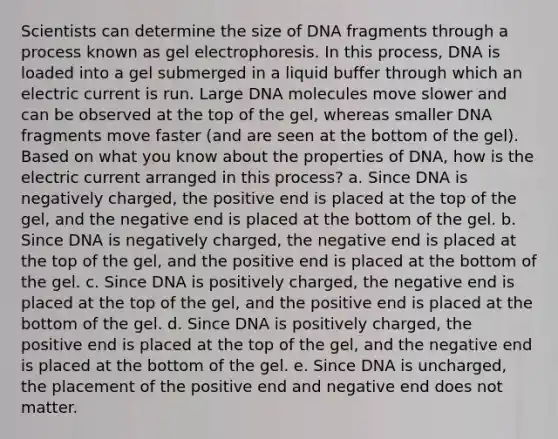 Scientists can determine the size of DNA fragments through a process known as gel electrophoresis. In this process, DNA is loaded into a gel submerged in a liquid buffer through which an electric current is run. Large DNA molecules move slower and can be observed at the top of the gel, whereas smaller DNA fragments move faster (and are seen at the bottom of the gel). Based on what you know about the properties of DNA, how is the electric current arranged in this process? a. Since DNA is negatively charged, the positive end is placed at the top of the gel, and the negative end is placed at the bottom of the gel. b. Since DNA is negatively charged, the negative end is placed at the top of the gel, and the positive end is placed at the bottom of the gel. c. Since DNA is positively charged, the negative end is placed at the top of the gel, and the positive end is placed at the bottom of the gel. d. Since DNA is positively charged, the positive end is placed at the top of the gel, and the negative end is placed at the bottom of the gel. e. Since DNA is uncharged, the placement of the positive end and negative end does not matter.