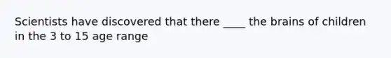 Scientists have discovered that there ____ the brains of children in the 3 to 15 age range