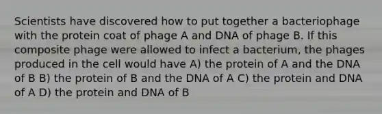 Scientists have discovered how to put together a bacteriophage with the protein coat of phage A and DNA of phage B. If this composite phage were allowed to infect a bacterium, the phages produced in the cell would have A) the protein of A and the DNA of B B) the protein of B and the DNA of A C) the protein and DNA of A D) the protein and DNA of B