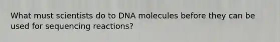 What must scientists do to DNA molecules before they can be used for sequencing reactions?