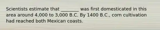 Scientists estimate that ________ was first domesticated in this area around 4,000 to 3,000 B.C. By 1400 B.C., corn cultivation had reached both Mexican coasts.