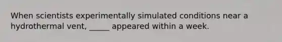 When scientists experimentally simulated conditions near a hydrothermal vent, _____ appeared within a week.