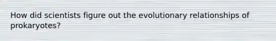 How did scientists figure out the evolutionary relationships of prokaryotes?