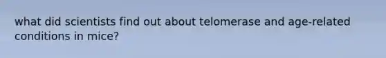 what did scientists find out about telomerase and age-related conditions in mice?