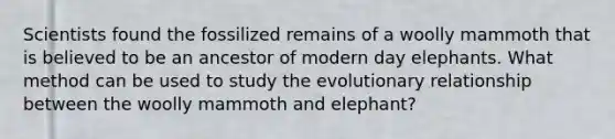 Scientists found the fossilized remains of a woolly mammoth that is believed to be an ancestor of modern day elephants. What method can be used to study the evolutionary relationship between the woolly mammoth and elephant?