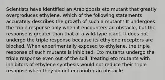 Scientists have identified an Arabidopsis eto mutant that greatly overproduces ethylene. Which of the following statements accurately describes the growth of such a mutant? It undergoes the triple response only when it encounters an obstacle, but the response is greater than that of a wild-type plant. It does not undergo the triple response because its ethylene receptors are blocked. When experimentally exposed to ethylene, the triple response of such mutants is inhibited. Eto mutants undergo the triple response even out of the soil. Treating eto mutants with inhibitors of ethylene synthesis would not reduce their triple response when they do not encounter an obstacle.