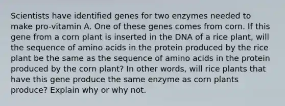 Scientists have identified genes for two enzymes needed to make pro-vitamin A. One of these genes comes from corn. If this gene from a corn plant is inserted in the DNA of a rice plant, will the sequence of amino acids in the protein produced by the rice plant be the same as the sequence of amino acids in the protein produced by the corn plant? In other words, will rice plants that have this gene produce the same enzyme as corn plants produce? Explain why or why not.