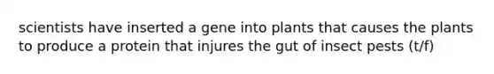 scientists have inserted a gene into plants that causes the plants to produce a protein that injures the gut of insect pests (t/f)