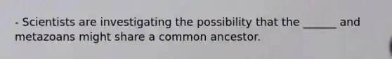 - Scientists are investigating the possibility that the ______ and metazoans might share a common ancestor.