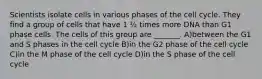 Scientists isolate cells in various phases of the cell cycle. They find a group of cells that have 1 ½ times more DNA than G1 phase cells. The cells of this group are _______. A)between the G1 and S phases in the cell cycle B)in the G2 phase of the cell cycle C)in the M phase of the cell cycle D)in the S phase of the cell cycle