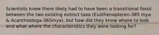 Scientists knew there likely had to have been a transitional fossil between the two existing extinct taxa (Eusthenopteron-385 mya & Acanthostega-365mya), but how did they know where to look and what where the characteristics they were looking for?