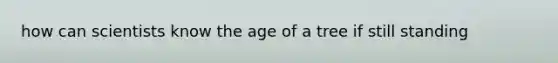 how can scientists know the age of a tree if still standing