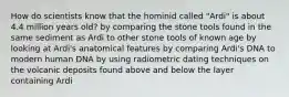 How do scientists know that the hominid called "Ardi" is about 4.4 million years old? by comparing the stone tools found in the same sediment as Ardi to other stone tools of known age by looking at Ardi's anatomical features by comparing Ardi's DNA to modern human DNA by using radiometric dating techniques on the volcanic deposits found above and below the layer containing Ardi