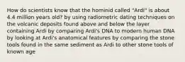 How do scientists know that the hominid called "Ardi" is about 4.4 million years old? by using radiometric dating techniques on the volcanic deposits found above and below the layer containing Ardi by comparing Ardi's DNA to modern human DNA by looking at Ardi's anatomical features by comparing the stone tools found in the same sediment as Ardi to other stone tools of known age