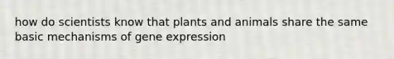 how do scientists know that plants and animals share the same basic mechanisms of gene expression