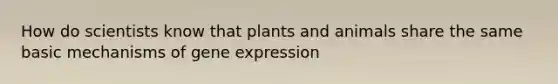 How do scientists know that plants and animals share the same basic mechanisms of gene expression