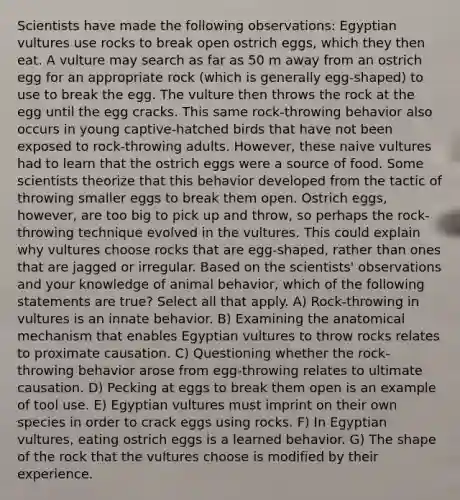 Scientists have made the following observations: Egyptian vultures use rocks to break open ostrich eggs, which they then eat. A vulture may search as far as 50 m away from an ostrich egg for an appropriate rock (which is generally egg-shaped) to use to break the egg. The vulture then throws the rock at the egg until the egg cracks. This same rock-throwing behavior also occurs in young captive-hatched birds that have not been exposed to rock-throwing adults. However, these naive vultures had to learn that the ostrich eggs were a source of food. Some scientists theorize that this behavior developed from the tactic of throwing smaller eggs to break them open. Ostrich eggs, however, are too big to pick up and throw, so perhaps the rock-throwing technique evolved in the vultures. This could explain why vultures choose rocks that are egg-shaped, rather than ones that are jagged or irregular. Based on the scientists' observations and your knowledge of animal behavior, which of the following statements are true? Select all that apply. A) Rock-throwing in vultures is an innate behavior. B) Examining the anatomical mechanism that enables Egyptian vultures to throw rocks relates to proximate causation. C) Questioning whether the rock-throwing behavior arose from egg-throwing relates to ultimate causation. D) Pecking at eggs to break them open is an example of tool use. E) Egyptian vultures must imprint on their own species in order to crack eggs using rocks. F) In Egyptian vultures, eating ostrich eggs is a learned behavior. G) The shape of the rock that the vultures choose is modified by their experience.