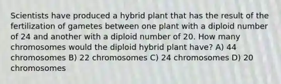 Scientists have produced a hybrid plant that has the result of the fertilization of gametes between one plant with a diploid number of 24 and another with a diploid number of 20. How many chromosomes would the diploid hybrid plant have? A) 44 chromosomes B) 22 chromosomes C) 24 chromosomes D) 20 chromosomes