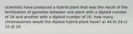 scientists have produced a hybrid plant that was the result of the fertilization of gametes between one plant with a diploid number of 24 and another with a diploid number of 20. how many chromosomes would the diploid hybrid plant have? a) 44 b) 24 c) 22 d) 20