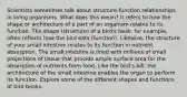 Scientists sometimes talk about structure-function relationships in living organisms. What does this mean? It refers to how the shape or architecture of a part of an organism relates to its function. The shape (structure) of a bird's beak, for example, often reflects how the bird eats (function). Likewise, the structure of your small intestine relates to its function in nutrient absorption. The small intestine is lined with millions of small projections of tissue that provide ample surface area for the absorption of nutrients from food. Like the bird's bill, the architecture of the small intestine enables the organ to perform its function. Explore some of the different shapes and functions of bird beaks.