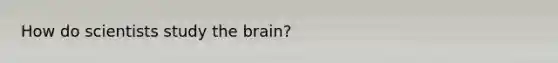 How do scientists study the brain?