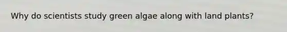 Why do scientists study green algae along with land plants?