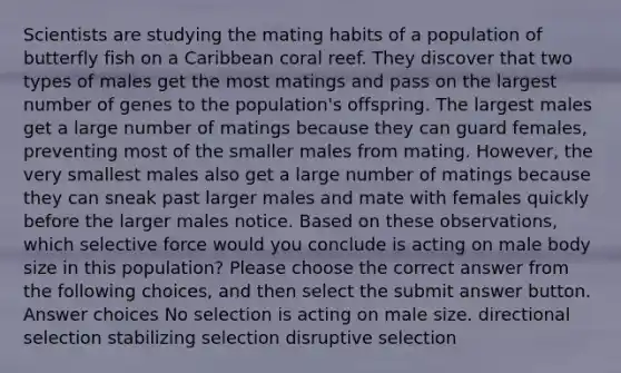 Scientists are studying the mating habits of a population of butterfly fish on a Caribbean coral reef. They discover that two types of males get the most matings and pass on the largest number of genes to the population's offspring. The largest males get a large number of matings because they can guard females, preventing most of the smaller males from mating. However, the very smallest males also get a large number of matings because they can sneak past larger males and mate with females quickly before the larger males notice. Based on these observations, which selective force would you conclude is acting on male body size in this population? Please choose the correct answer from the following choices, and then select the submit answer button. Answer choices No selection is acting on male size. directional selection stabilizing selection disruptive selection