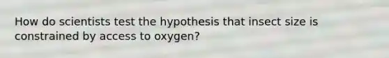 How do scientists test the hypothesis that insect size is constrained by access to oxygen?