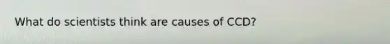 What do scientists think are causes of CCD?