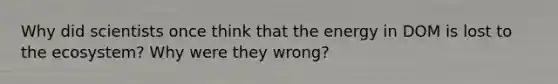 Why did scientists once think that the energy in DOM is lost to the ecosystem? Why were they wrong?