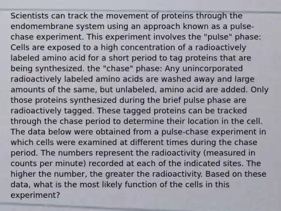 Scientists can track the movement of proteins through the endomembrane system using an approach known as a pulse-chase experiment. This experiment involves the "pulse" phase: Cells are exposed to a high concentration of a radioactively labeled amino acid for a short period to tag proteins that are being synthesized. the "chase" phase: Any unincorporated radioactively labeled <a href='https://www.questionai.com/knowledge/k9gb720LCl-amino-acids' class='anchor-knowledge'>amino acids</a> are washed away and large amounts of the same, but unlabeled, amino acid are added. Only those proteins synthesized during the brief pulse phase are radioactively tagged. These tagged proteins can be tracked through the chase period to determine their location in the cell. The data below were obtained from a pulse-chase experiment in which cells were examined at different times during the chase period. The numbers represent the radioactivity (measured in counts per minute) recorded at each of the indicated sites. The higher the number, the greater the radioactivity. Based on these data, what is the most likely function of the cells in this experiment?