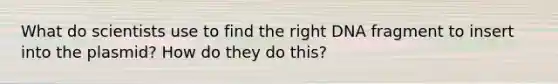 What do scientists use to find the right DNA fragment to insert into the plasmid? How do they do this?