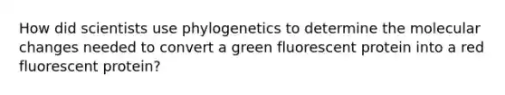 How did scientists use phylogenetics to determine the molecular changes needed to convert a green fluorescent protein into a red fluorescent protein?