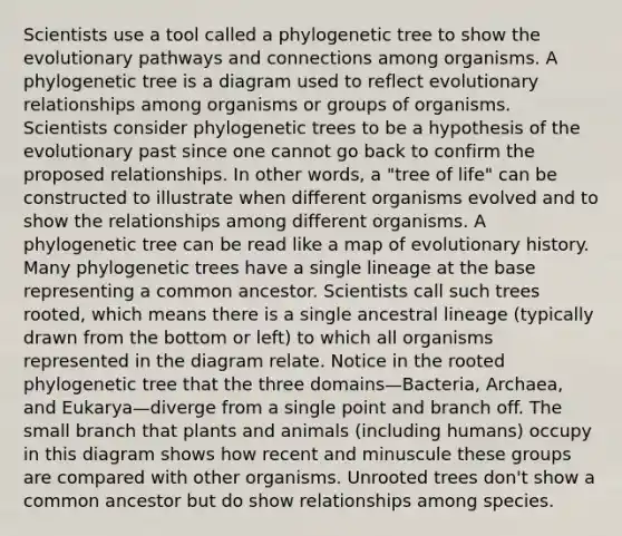 Scientists use a tool called a phylogenetic tree to show the evolutionary pathways and connections among organisms. A phylogenetic tree is a diagram used to reflect evolutionary relationships among organisms or groups of organisms. Scientists consider phylogenetic trees to be a hypothesis of the evolutionary past since one cannot go back to confirm the proposed relationships. In other words, a "tree of life" can be constructed to illustrate when different organisms evolved and to show the relationships among different organisms. A phylogenetic tree can be read like a map of evolutionary history. Many phylogenetic trees have a single lineage at the base representing a common ancestor. Scientists call such trees rooted, which means there is a single ancestral lineage (typically drawn from the bottom or left) to which all organisms represented in the diagram relate. Notice in the rooted phylogenetic tree that the three domains—Bacteria, Archaea, and Eukarya—diverge from a single point and branch off. The small branch that plants and animals (including humans) occupy in this diagram shows how recent and minuscule these groups are compared with other organisms. Unrooted trees don't show a common ancestor but do show relationships among species.