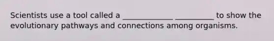 Scientists use a tool called a _____________ __________ to show the evolutionary pathways and connections among organisms.