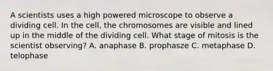 A scientists uses a high powered microscope to observe a dividing cell. In the cell, the chromosomes are visible and lined up in the middle of the dividing cell. What stage of mitosis is the scientist observing? A. anaphase B. prophasze C. metaphase D. telophase